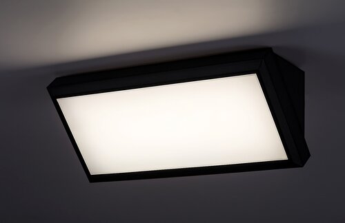 Aplica Rapla LED, 12W, 1000lm, lumina neutra (4000K), IP54