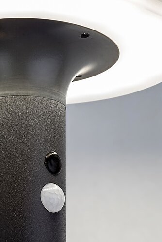 Lampa Alaska LED cu senzor de miscare, 10W, 250lm, lumina neutra (4000K), IP44
