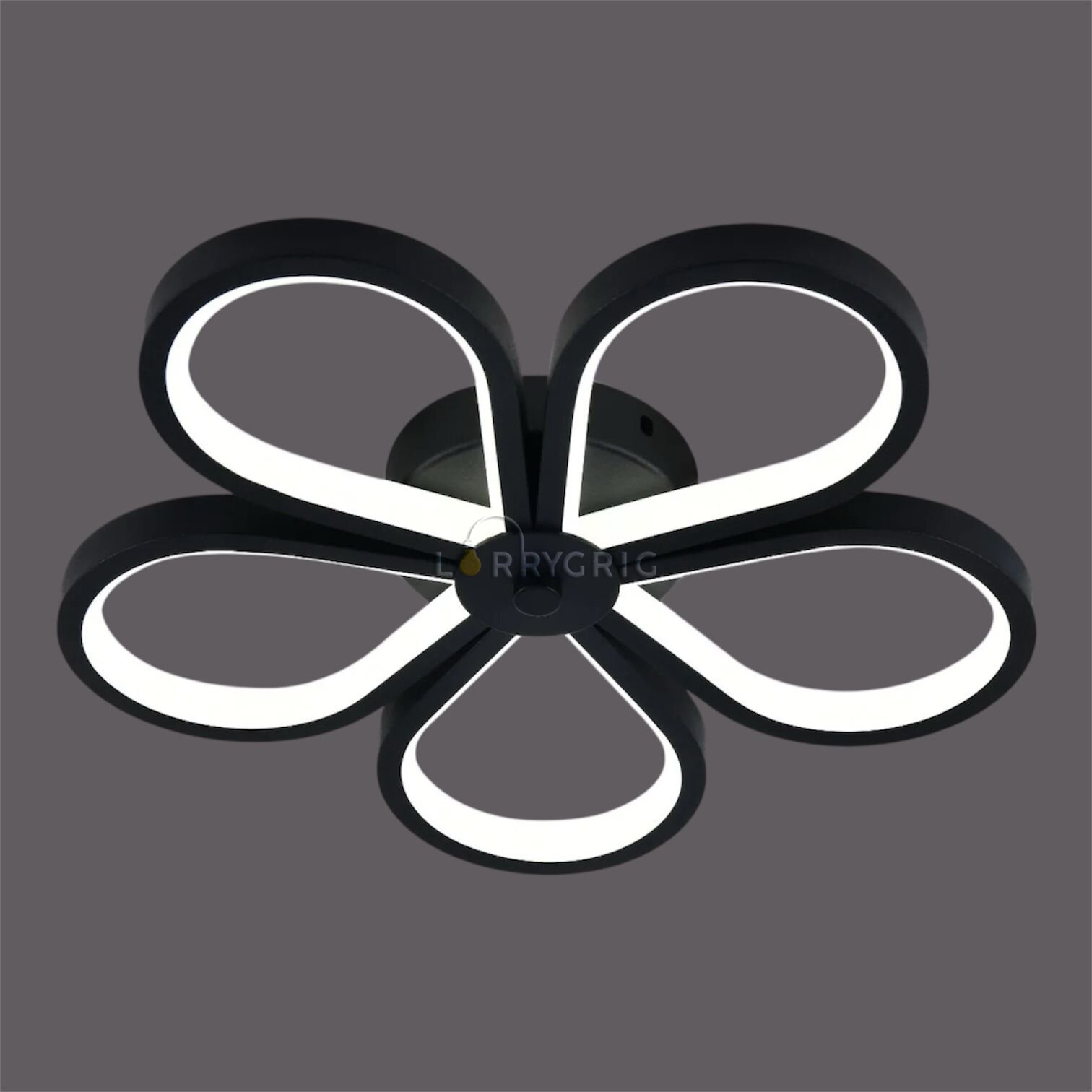 Aplica LED, 64W, 3 tipuri de lumina, Negru