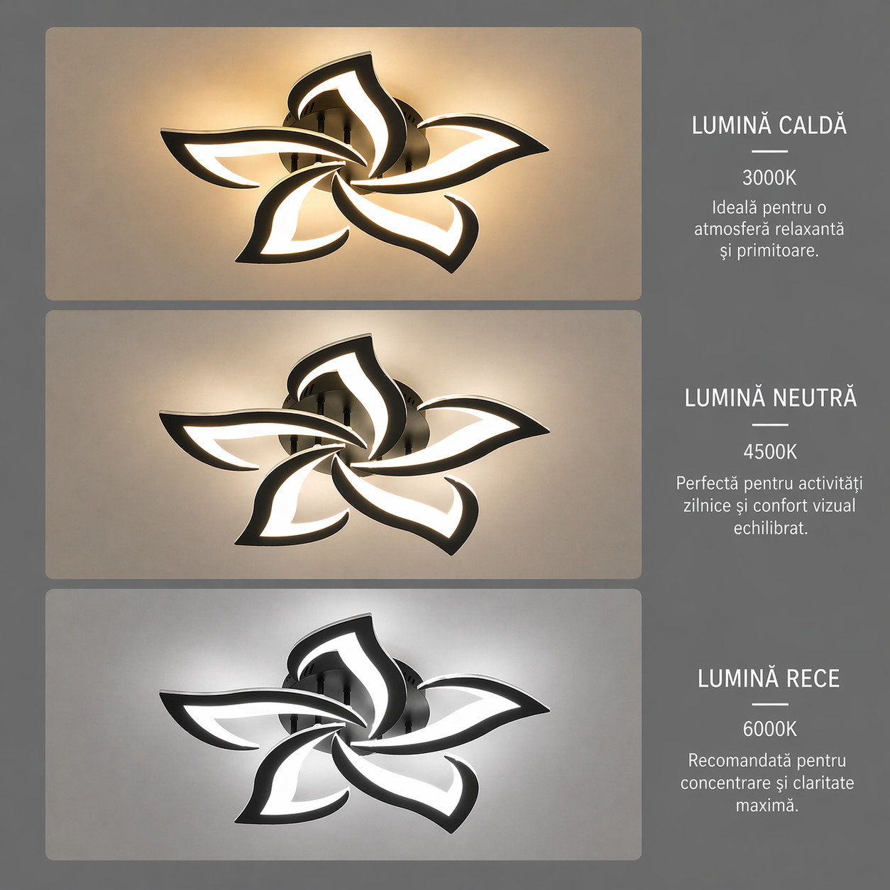 Lustra LED Flower, 70W, 3 tipuri de lumina, Negru