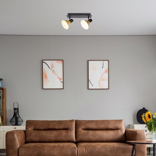 Spot Alvaro, 2 x E14, negru mat