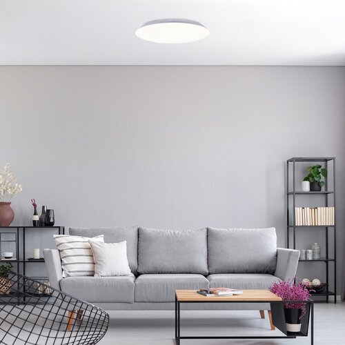 Plafoniera Rorik LED, 24W, 2250lm, lumina neutra (4000K)