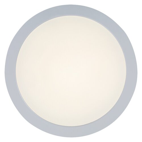 Plafoniera Shaun2 LED, 24W, 2600lm, lumina neutra (4000K)