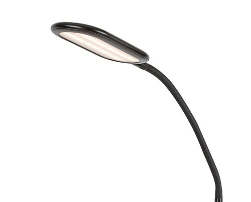 Lampadar Adelmo LED, 10W, 910lm, lumina reglabila (3000K - 6000K)