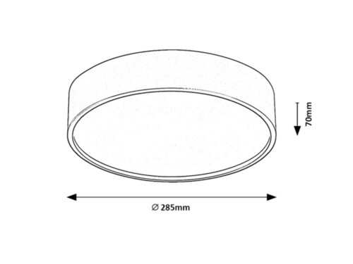 Plafoniera Larcia LED cu senzor de miscare, 19W, 1000lm, lumina neutra (4000K), IP44